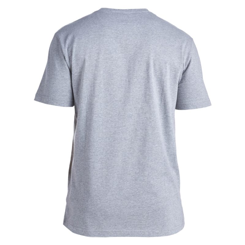Canterbury T-shirt grey back