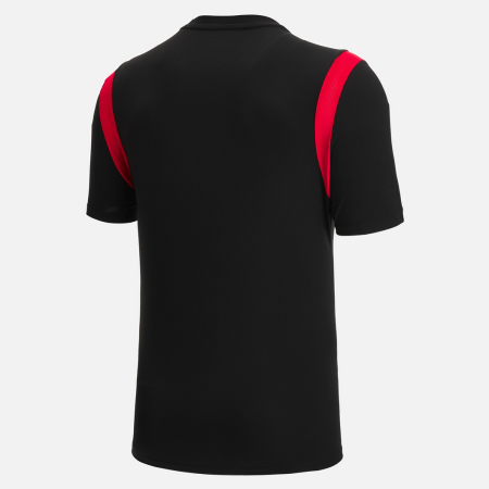 Cardiff Rugby 2022/23 warm up training tee back