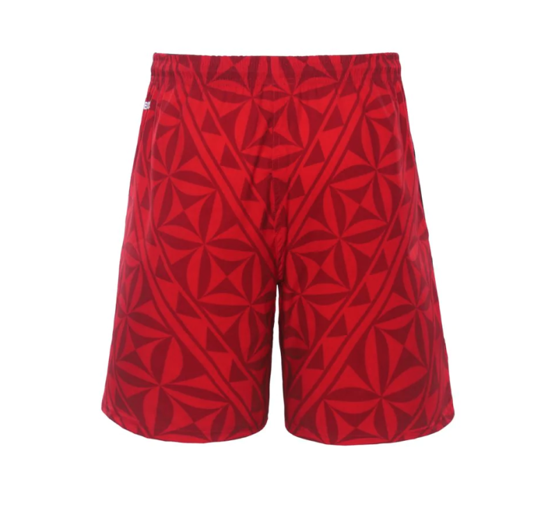 2022 Tonga Rugby League World Cup Mens Gym Shorts back