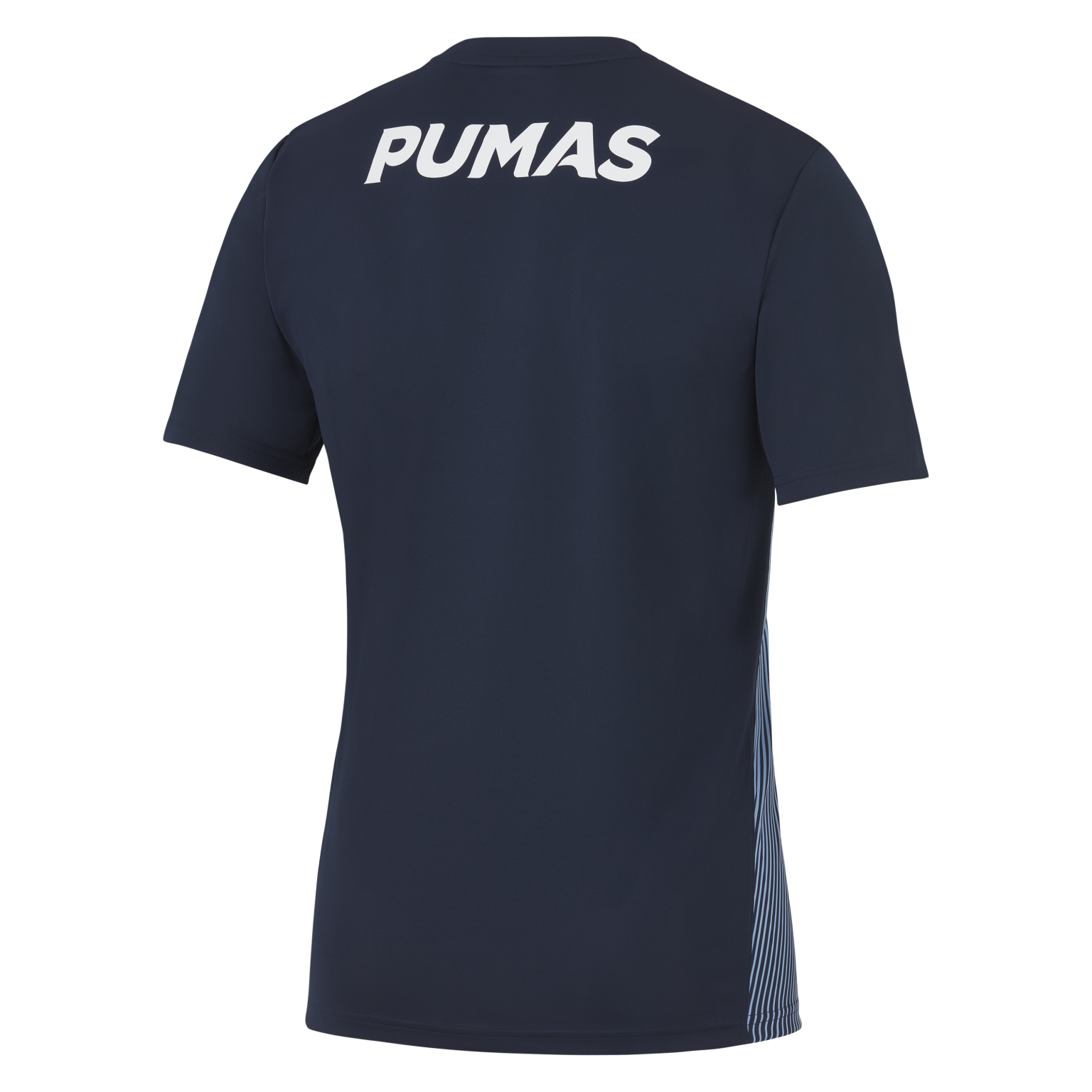 Argentina Rugby Los Pumas Rugby Shirts & Jerseys The Rugby Shop