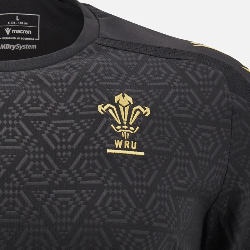 Welsh Rugby 2024/25 Long Sleeve Training Tee front