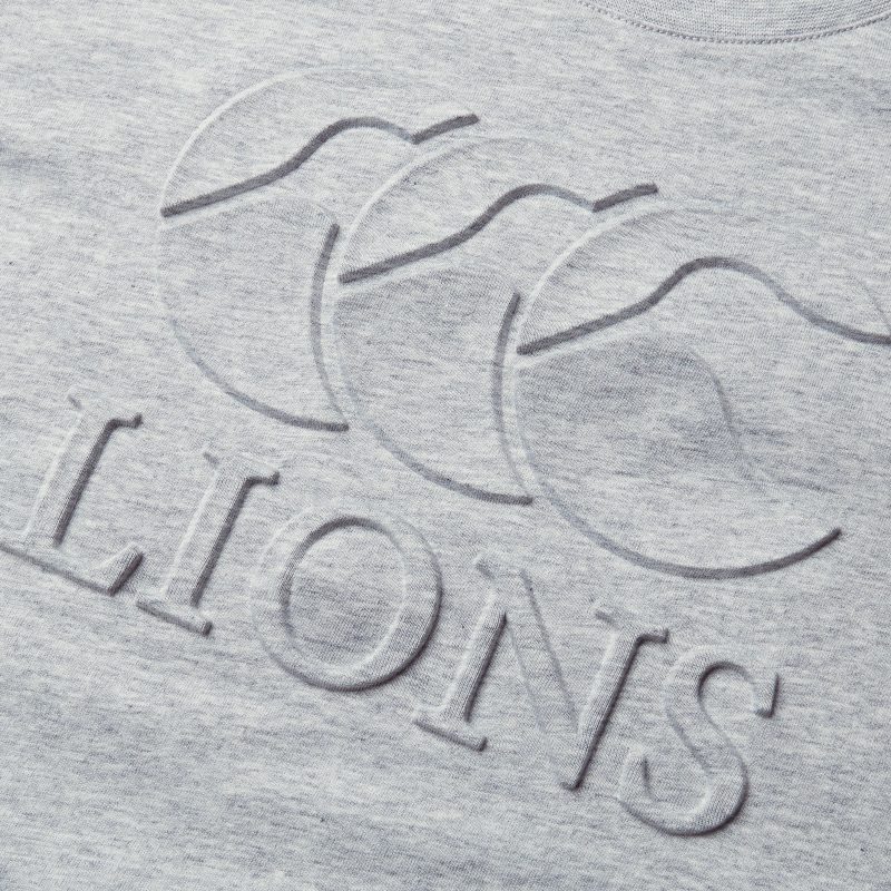 ADULT BRITISH & IRISH LIONS CCC MONUMENT TEE 1