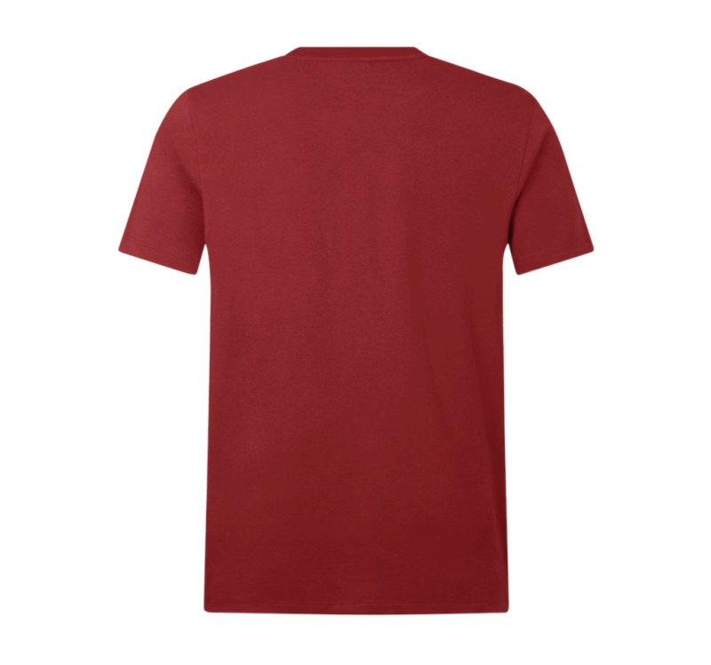 British & Irish Lions Cotton Jersey T-Shirt - Red back