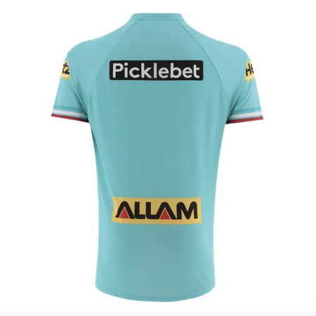 2026 Panthers Men's Training Tee back